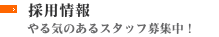 採用情報